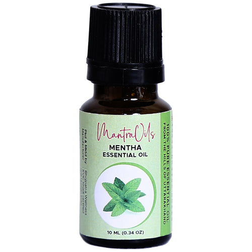 Mentha Essential Oil