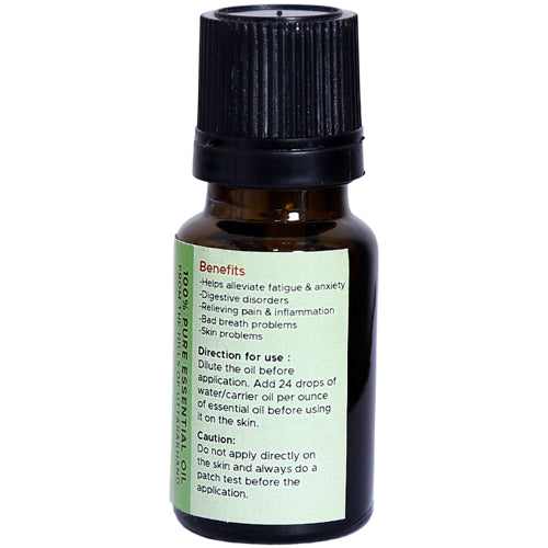 Mentha Essential Oil